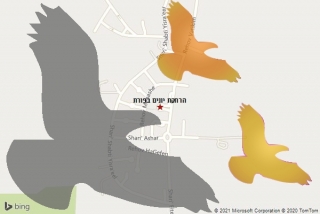 מרחיק יונים בפורת - הרחקת יונים בפורת