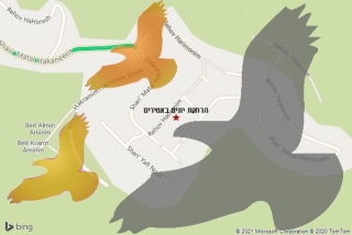 מרחיק יונים באמירים - הרחקת יונים באמירים