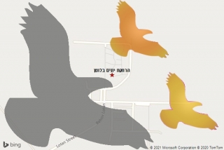 מרחיק יונים בלוטן - הרחקת יונים בלוטן
