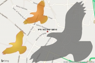 מרחיק יונים בכפר חיים - הרחקת יונים בכפר חיים