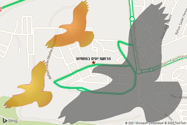 הרחקת יונים במתתיהו