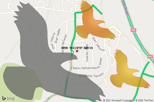 הרחקת יונים בכפר תפוח