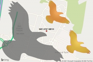 מרחיק יונים ביקום - הרחקת יונים ביקום