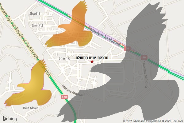 הרחקת יונים במחולה