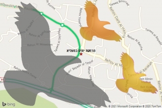מרחיק יונים במעליא - הרחקת יונים במעליא