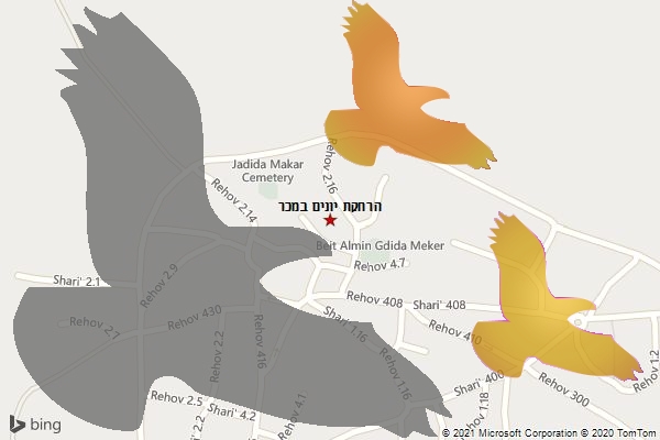 הרחקת יונים במכר
