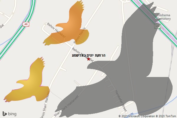 הרחקת יונים באלישמע