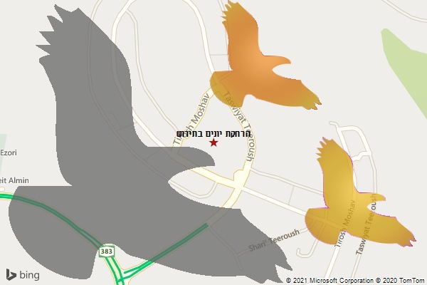 הרחקת יונים בתירוש