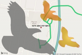 מרחיק יונים במעגן מיכאל - הרחקת יונים במעגן מיכאל