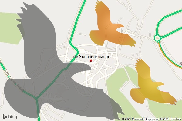 הרחקת יונים במגדל עוז