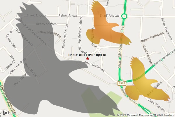 הרחקת יונים בנווה אפרים