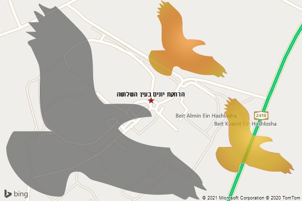 הרחקת יונים בעין השלושה
