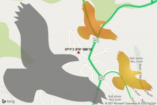 מרחיק יונים בידידה - הרחקת יונים בידידה