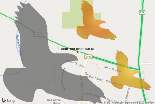 מרחיק יונים בשער מנשה - הרחקת יונים בשער מנשה