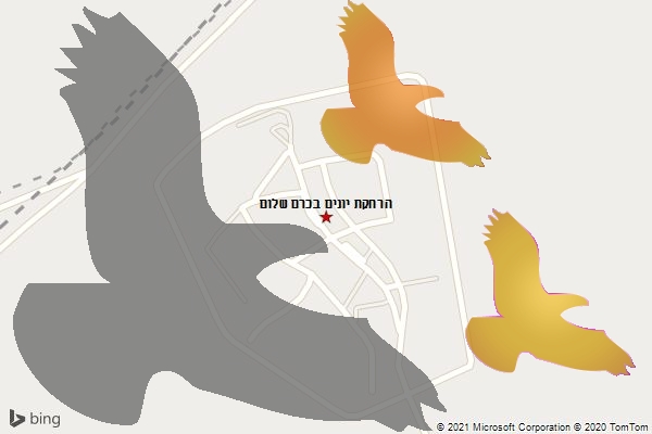 הרחקת יונים בכרם שלום