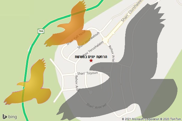 הרחקת יונים במורשת
