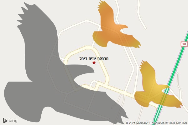 הרחקת יונים ביהל