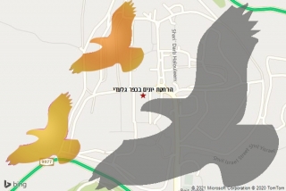 מרחיק יונים בכפר גלעדי - הרחקת יונים בכפר גלעדי