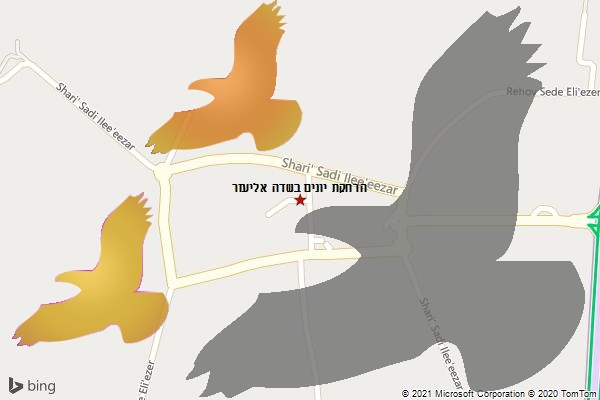 הרחקת יונים בשדה אליעזר