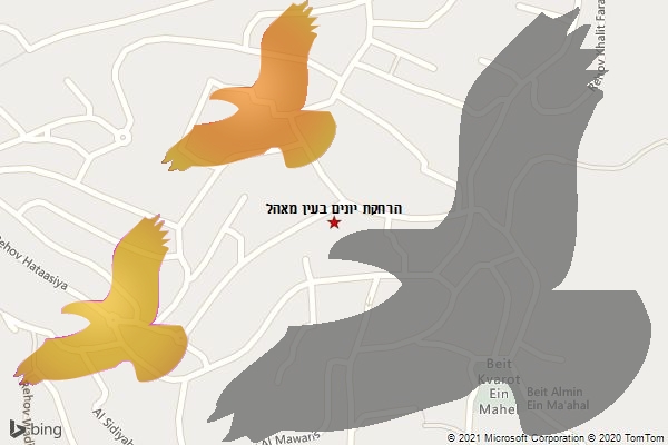 הרחקת יונים בעין מאהל