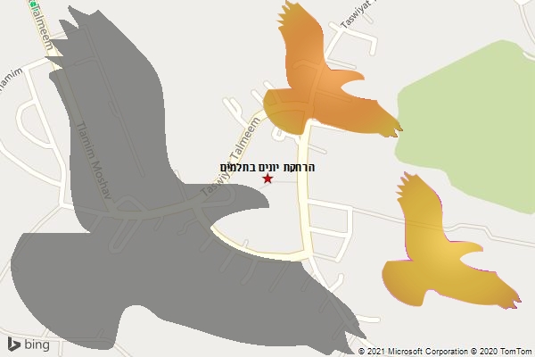 הרחקת יונים בתלמים