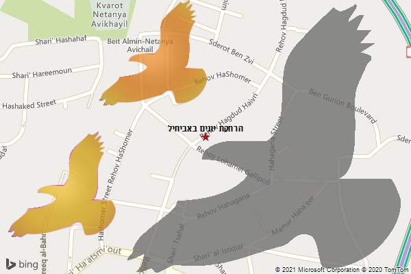 הרחקת יונים באביחיל