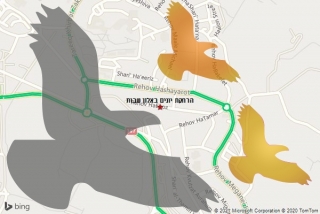 מרחיק יונים באלון שבות - הרחקת יונים באלון שבות