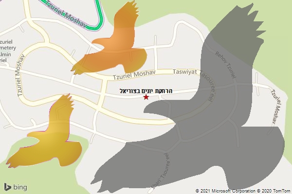 הרחקת יונים בצוריאל