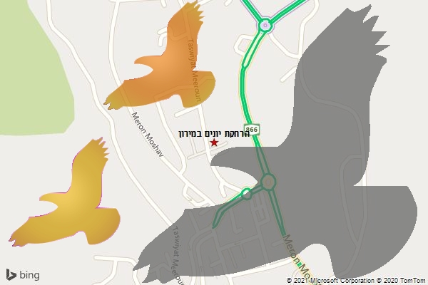 הרחקת יונים במירון