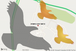 מרחיק יונים בנחשונים - הרחקת יונים בנחשונים