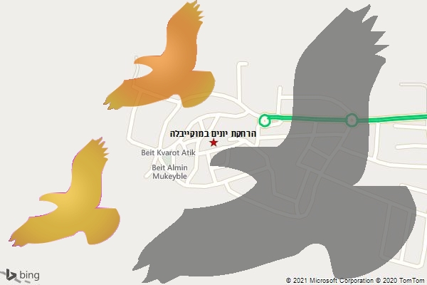 הרחקת יונים במוקייבלה