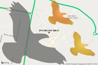 מרחיק יונים בחפץ חיים - הרחקת יונים בחפץ חיים