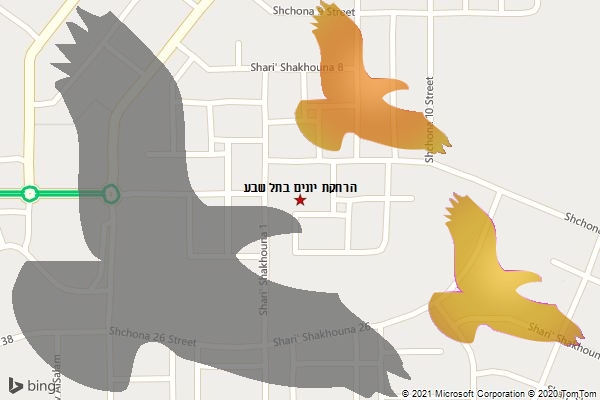 הרחקת יונים בתל שבע