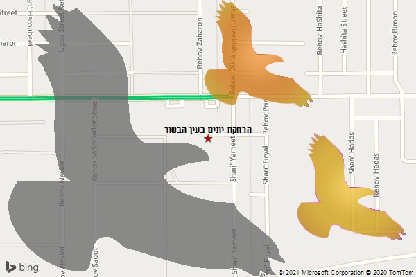הרחקת יונים בעין הבשור