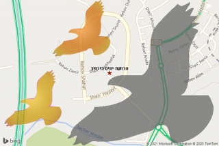 מרחיק יונים בירחיב - הרחקת יונים בירחיב