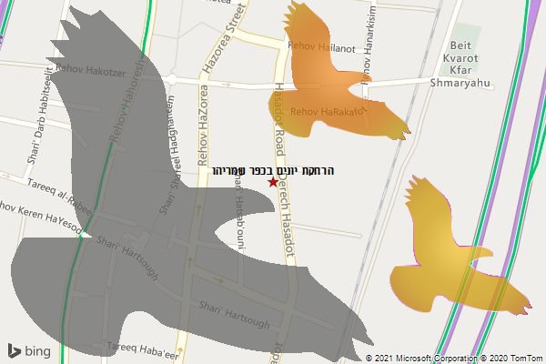 הרחקת יונים בכפר שמריהו