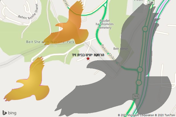 הרחקת יונים בבית זיד