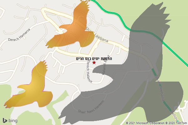 הרחקת יונים בנס הרים