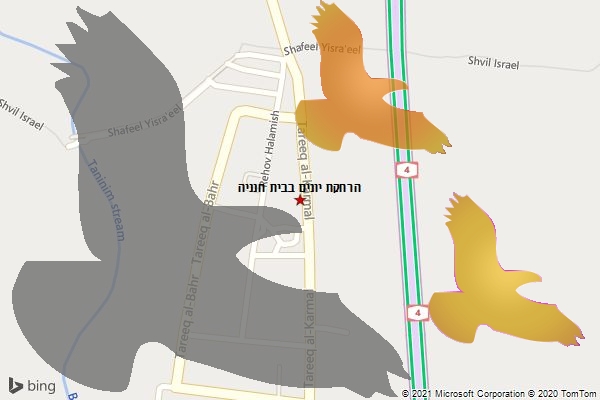 הרחקת יונים בבית חנניה