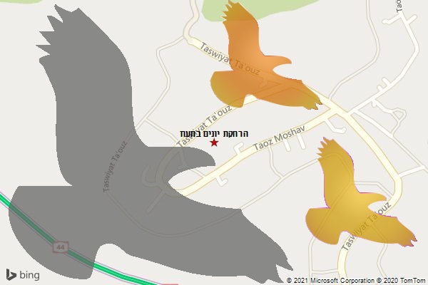 הרחקת יונים בתעוז