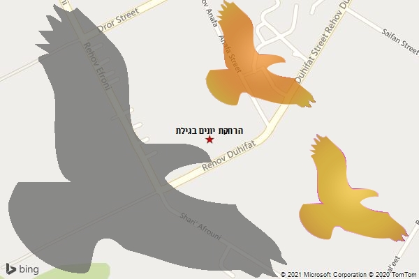 הרחקת יונים בגילת