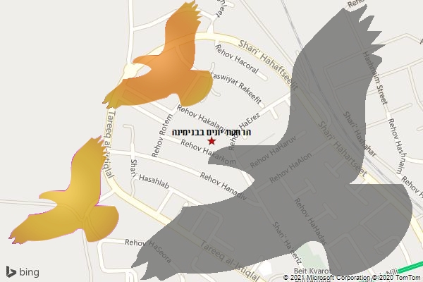 הרחקת יונים בבנימינה