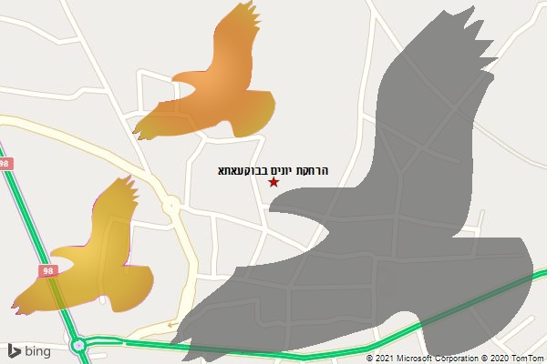 הרחקת יונים בבוקעאתא