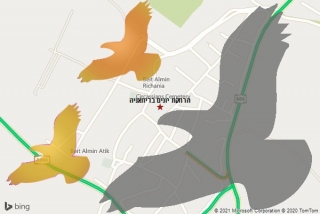 מרחיק יונים בריחאניה - הרחקת יונים בריחאניה