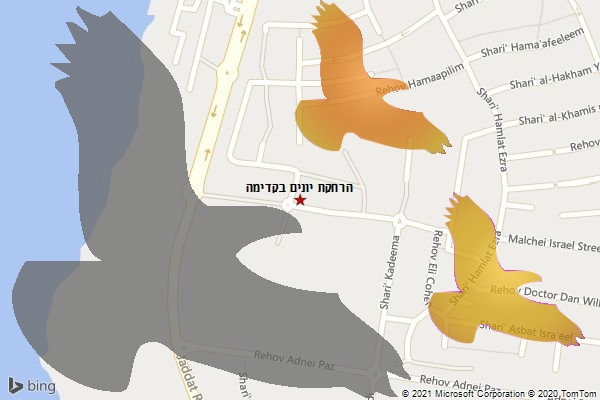 הרחקת יונים בקדימה