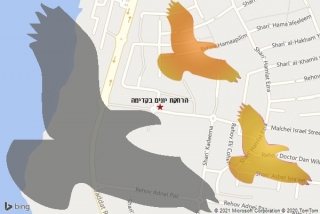 מרחיק יונים בקדימה - הרחקת יונים בקדימה