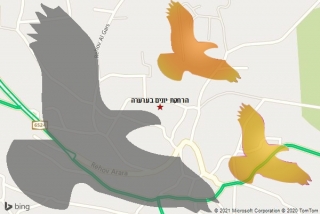 מרחיק יונים בערערה - הרחקת יונים בערערה