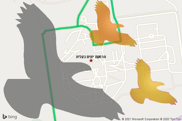 הרחקת יונים בקליה