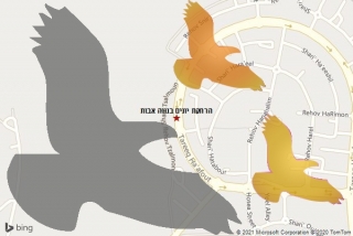 מרחיק יונים בנווה אבות - הרחקת יונים בנווה אבות