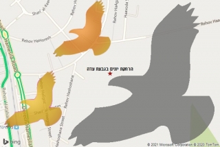 מרחיק יונים בגבעת עדה - הרחקת יונים בגבעת עדה